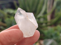 Natural Single White Quartz Crystals x 70 From Madagascar