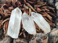 Natural Single White Quartz Crystals x 70 From Madagascar