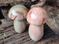 Polished Polychrome Jasper Mushrooms x 6 From Mahajanga, Madagascar