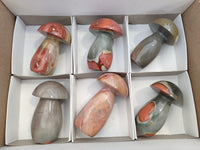 Polished Polychrome Jasper Mushrooms x 6 From Mahajanga, Madagascar