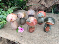 Polished Polychrome Jasper Mushrooms x 6 From Mahajanga, Madagascar