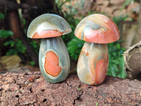 Polished Polychrome Jasper Mushrooms x 6 From Mahajanga, Madagascar