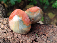 Polished Polychrome Jasper Mushrooms x 6 From Mahajanga, Madagascar