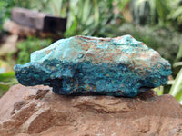 Natural Shattuckite with Chrysocolla and Malachite Cobbed Specimens x 16 From Kaokoveld, Namibia