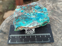 Natural Shattuckite with Chrysocolla and Malachite Cobbed Specimens x 16 From Kaokoveld, Namibia