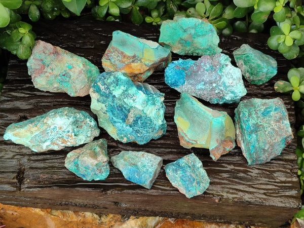 Natural Shattuckite with Chrysocolla and Malachite Cobbed Specimens x 16 From Kaokoveld, Namibia