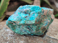 Natural Shattuckite with Chrysocolla and Malachite Cobbed Specimens x 16 From Kaokoveld, Namibia