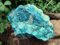 Natural Shattuckite with Chrysocolla and Malachite Cobbed Specimens x 16 From Kaokoveld, Namibia