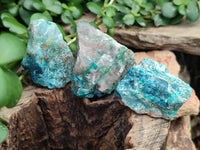 Natural Shattuckite with Chrysocolla and Malachite Cobbed Specimens x 16 From Kaokoveld, Namibia