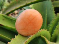 Polished Orange Twist Calcite Palm Stones x 20 From Madagascar