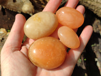 Polished Orange Twist Calcite Palm Stones x 20 From Madagascar