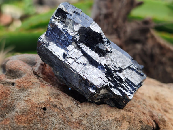 Natural Silver Lead Galena Specimens x 12 From Namibia