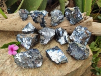 Natural Silver Lead Galena Specimens x 12 From Namibia