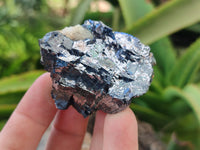 Natural Silver Lead Galena Specimens x 12 From Namibia