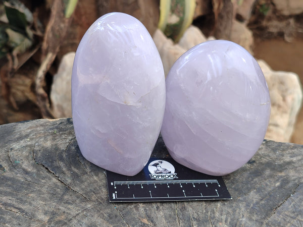 Polished Blue Girasol Rose Quartz Standing Free Forms x 2 From Madagascar