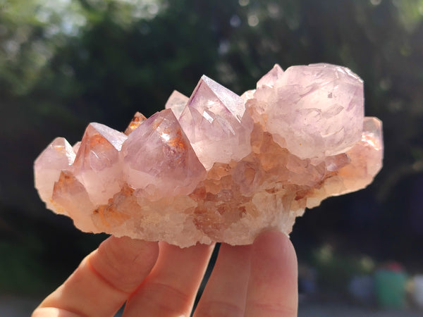 Natural Purple Amethyst Spirit Quartz Clusters x 6 From Boekenhouthoek, South Africa