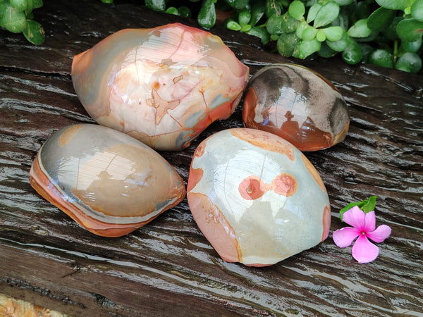 Polished On One Side Polychrome Jasper Free Forms x 4 From Mahajanga, Madagascar