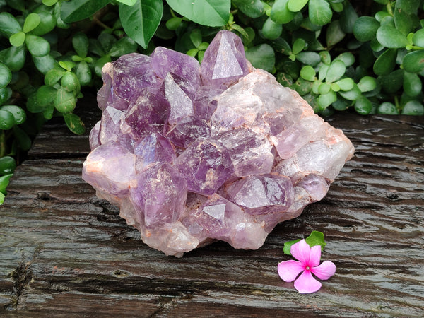 Natural Jacaranda Amethyst Quartz Cluster x 1 From Mumbwa, Zambia