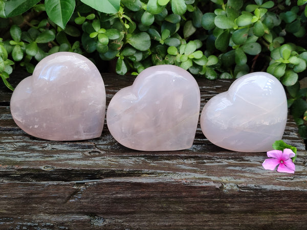 Polished Rose Quartz Hearts x 3 From Ambatondrazaka, Madagascar