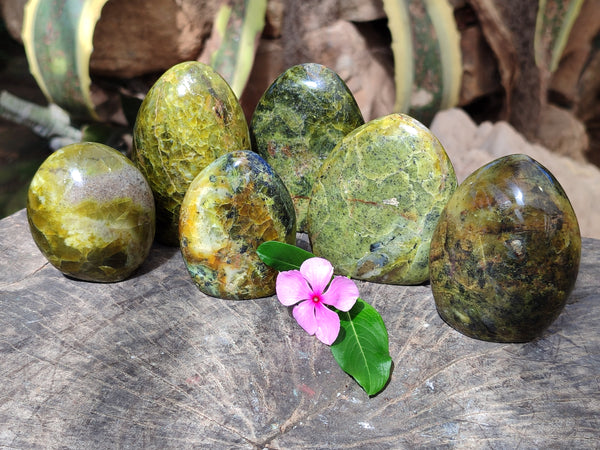 Polished Green Opal Standing Free Forms x 6 From Betroka, Madagascar