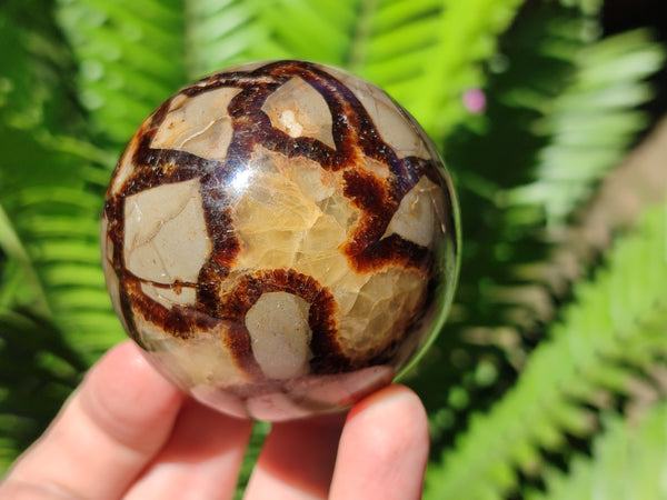 Polished Septerye Spheres x 4 From Mahajanga, Madagascar