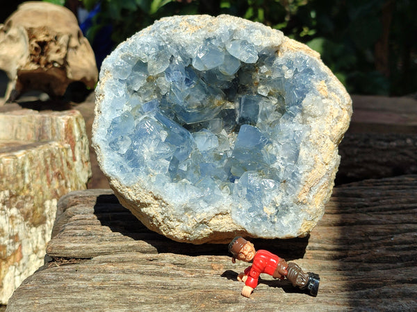 Natural Celestite Geode Specimens x 1 From Sakoany, Madagascar