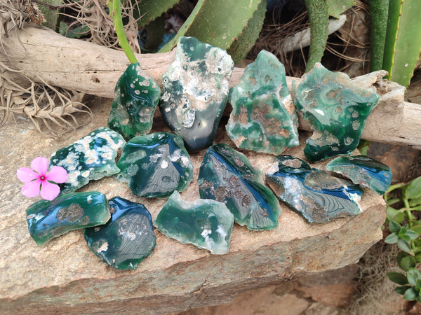 Polished On One Side Emerald Mtorolite Plates x 14 From Mutorashanga, Zimbabwe