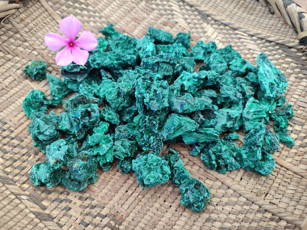 Natural Silky Malachite Specimens x 1.3 kg Lot From Kasompe, Congo