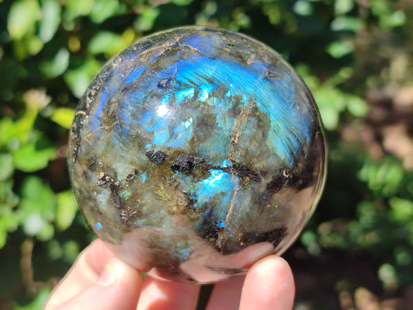 Polished Labradorite Spheres x 4 From Tulear, Madagascar