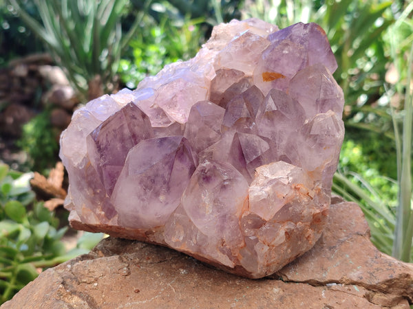 Natural Jacaranda Amethyst Quartz Cluster x 1 From Mumbwa, Zambia