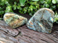 Polished Labradorite Standing Free Form x 2 From Tulear, Madagascar