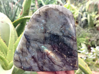 Polished Labradorite Standing Free Form x 2 From Tulear, Madagascar