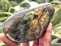 Polished Labradorite Standing Free Form x 2 From Tulear, Madagascar