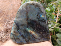 Polished Labradorite Standing Free Form x 2 From Tulear, Madagascar