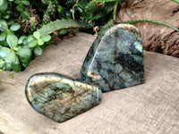 Polished Labradorite Standing Free Form x 2 From Tulear, Madagascar