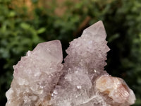 Natural Amethyst Spirit Quartz Clusters x 6 From Boekenhouthoek, South Africa