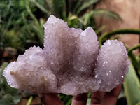 Natural Amethyst Spirit Quartz Clusters x 6 From Boekenhouthoek, South Africa