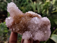 Natural Amethyst Spirit Quartz Clusters x 6 From Boekenhouthoek, South Africa