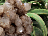 Natural Smokey Phantom Quartz Cluster x 1 From Luena, Congo