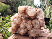 Natural Smokey Phantom Quartz Cluster x 1 From Luena, Congo