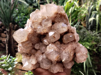 Natural Smokey Phantom Quartz Cluster x 1 From Luena, Congo