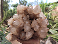 Natural Smokey Phantom Quartz Cluster x 1 From Luena, Congo