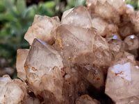 Natural Smokey Phantom Quartz Cluster x 1 From Luena, Congo