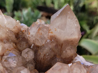 Natural Smokey Phantom Quartz Cluster x 1 From Luena, Congo