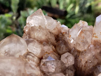 Natural Smokey Phantom Quartz Cluster x 1 From Luena, Congo