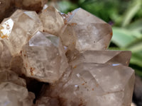 Natural Smokey Phantom Quartz Cluster x 1 From Luena, Congo