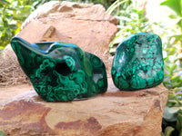 Polished Flower Banded Malachite Free Forms x 6 From Congo