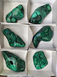 Polished Flower Banded Malachite Free Forms x 6 From Congo