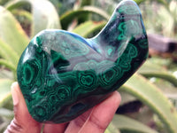 Polished Flower Banded Malachite Free Forms x 6 From Congo