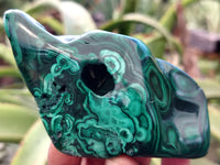 Polished Flower Banded Malachite Free Forms x 6 From Congo